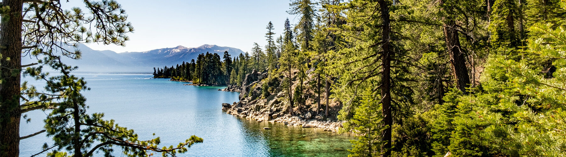 lake tahoe with the woods in the foregroud and mountains in the background